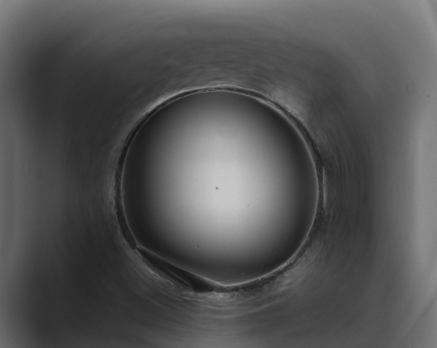 X0000089671500200706281330