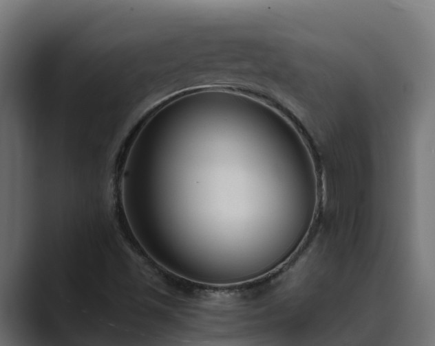 X0000089671501200706281330