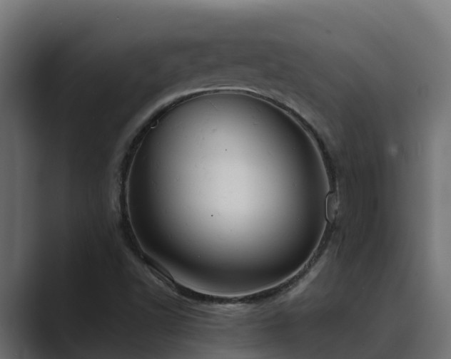 X0000089671502200706281330