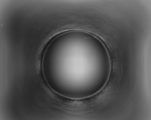 X0000089671503200706281330