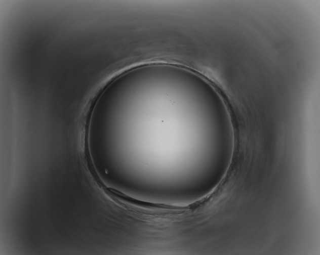 X0000089671504200706281330