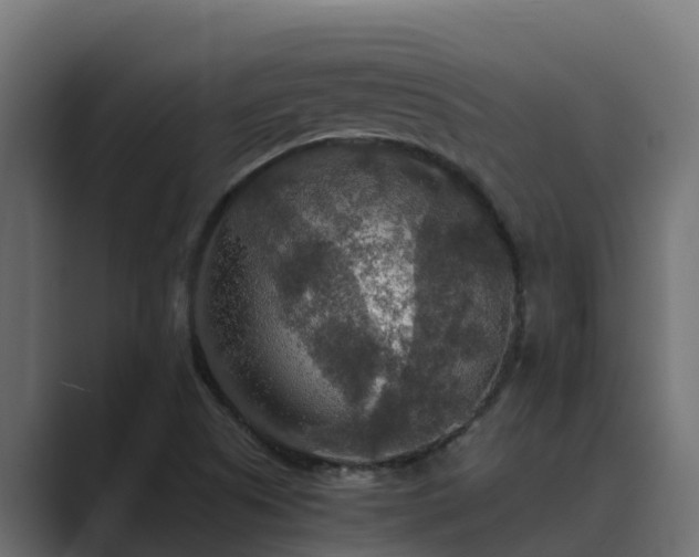 X0000089671505200706281330