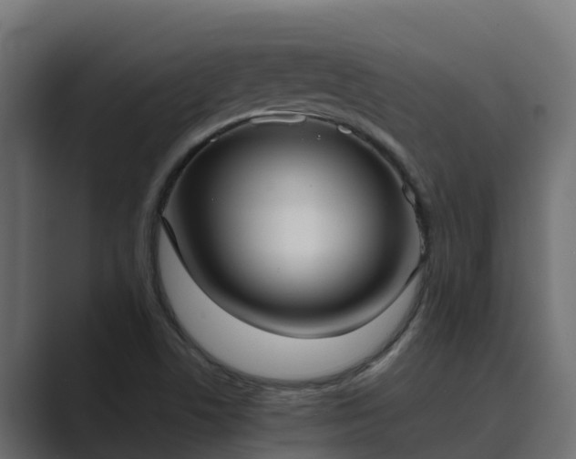 X0000089671506200706281330