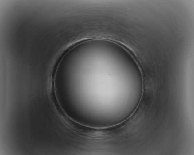 X0000089671507200706281330