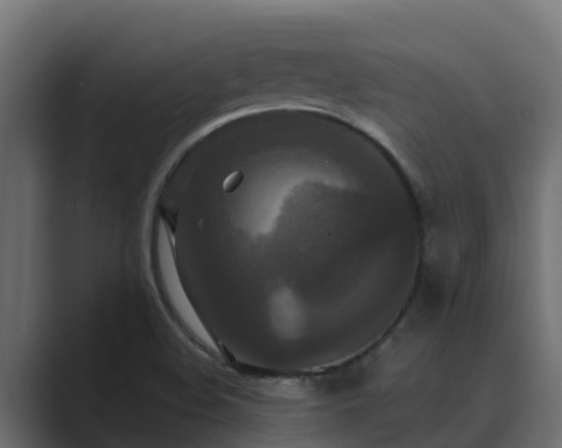 X0000089671508200706281330