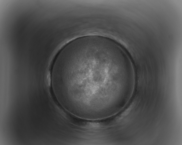 X0000089671509200706281330