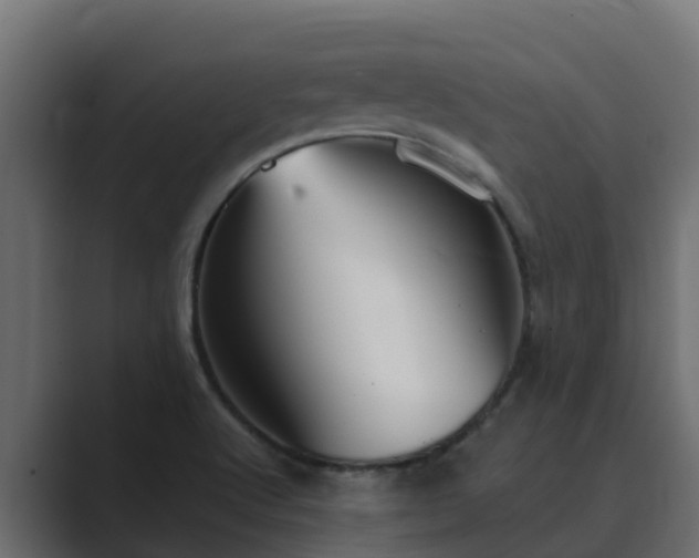 X0000089671512200706281330