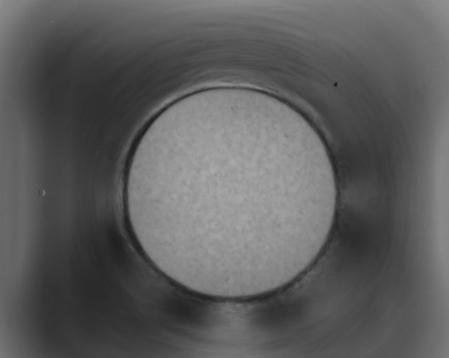 X0000089671514200706281330