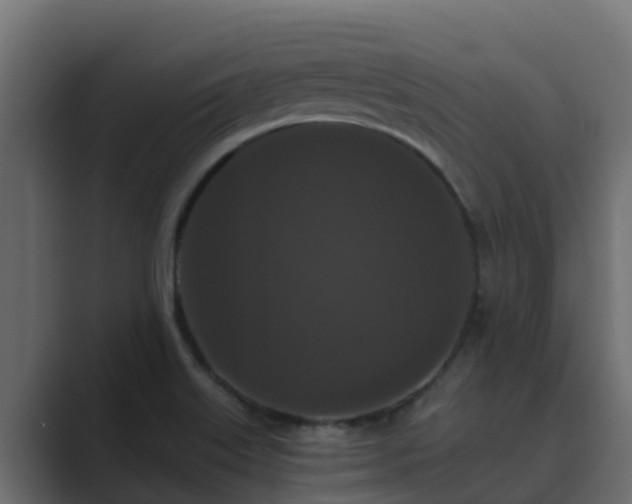 X0000089671515200706281330