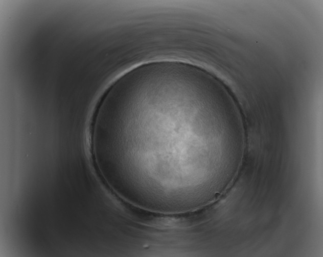 X0000089671517200706281330