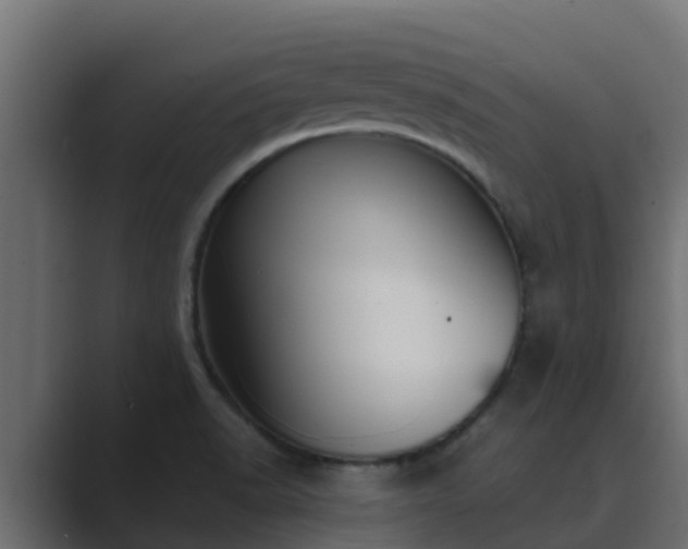 X0000089671518200706281330