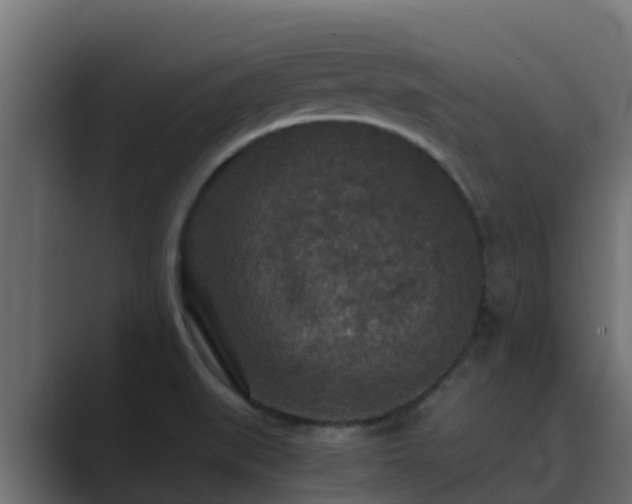 X0000089671519200706281330