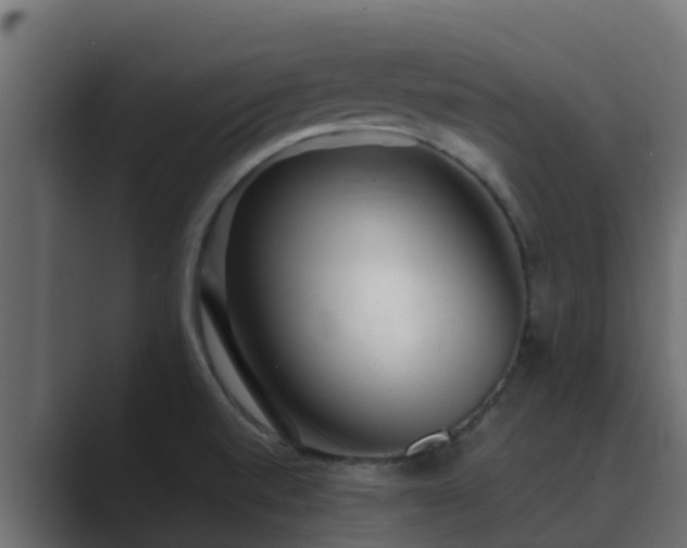 X0000089671520200706281330