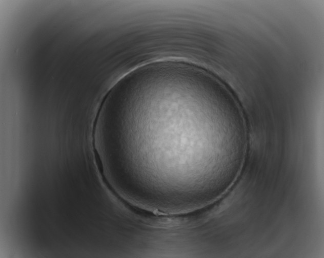X0000089671521200706281330