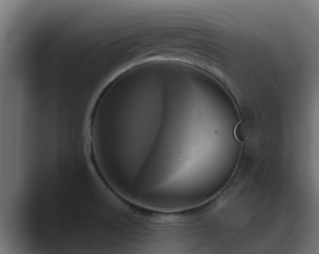 X0000089671522200706281330