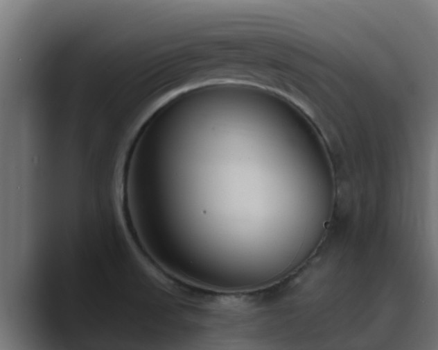 X0000089671523200706281330