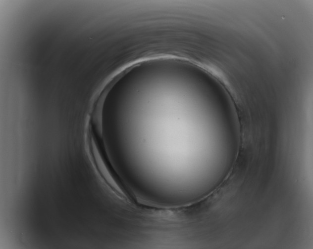 X0000089671524200706281330