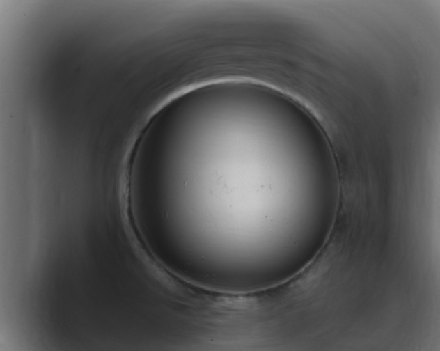 X0000089671526200706281330