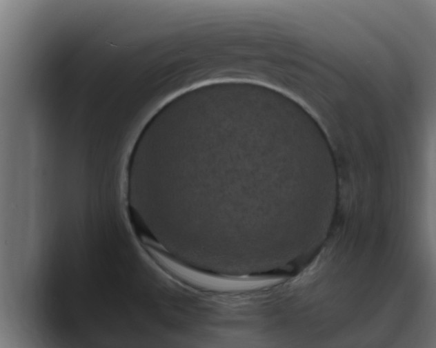 X0000089671527200706281330