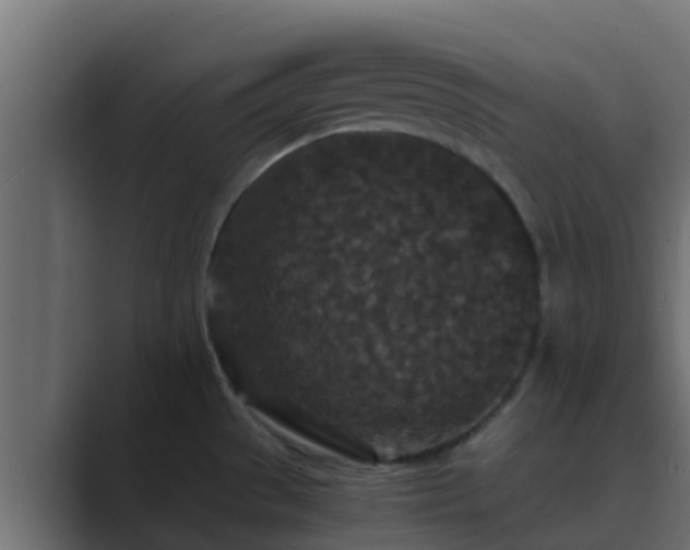 X0000089671529200706281330