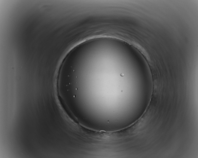 X0000089671530200706281330