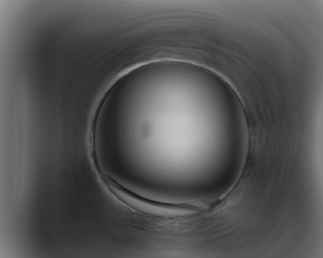 X0000089671531200706281330