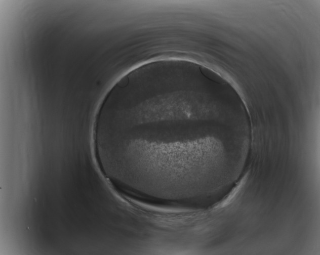 X0000089671533200706281330