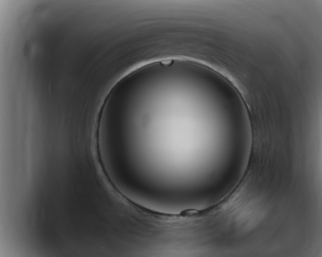 X0000089671534200706281330