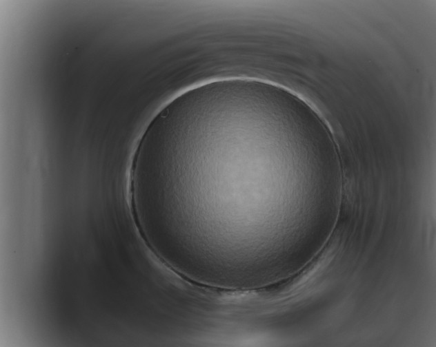 X0000089671535200706281330