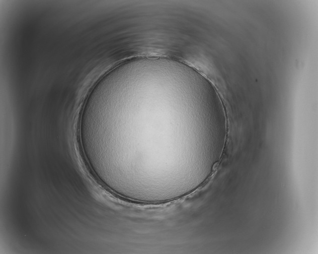 X0000089670001200707051557