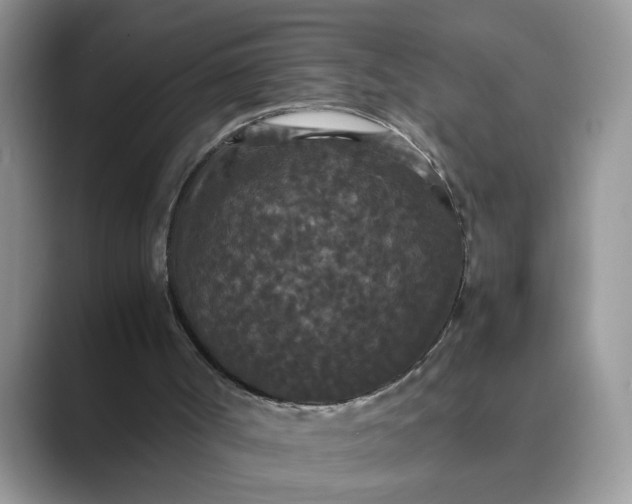 X0000089670002200707051557