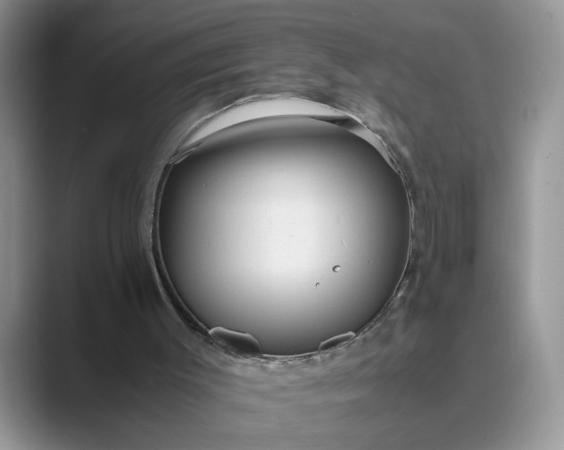 X0000089670003200707051557