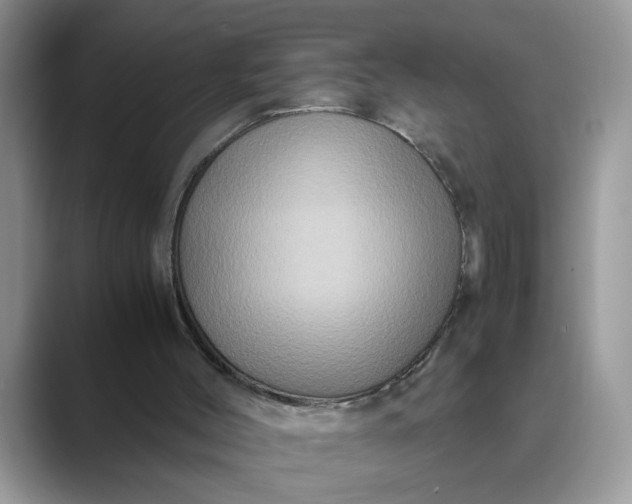 X0000089670004200707051557