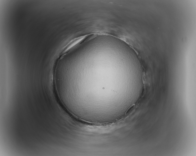 X0000089670005200707051557