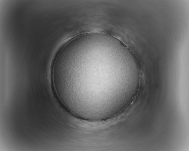 X0000089670006200707051557
