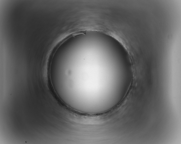 X0000089670008200707051557