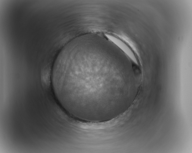 X0000089670009200707051557