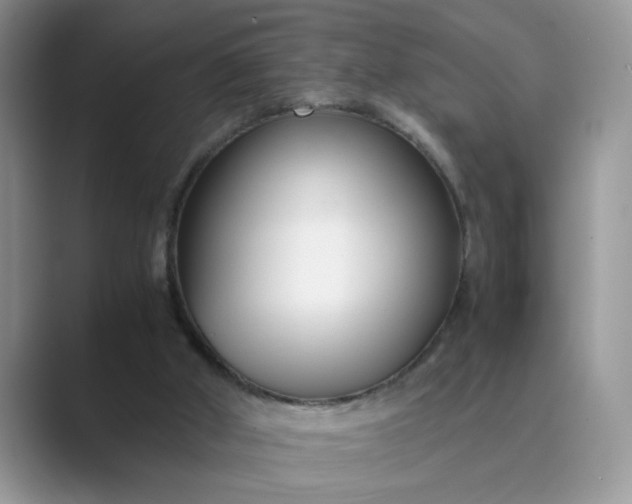 X0000089670010200707051557
