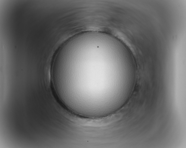 X0000089670011200707051557