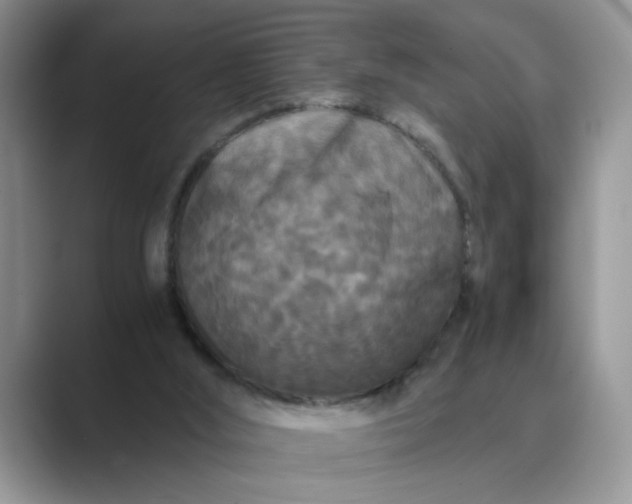 X0000089670012200707051557