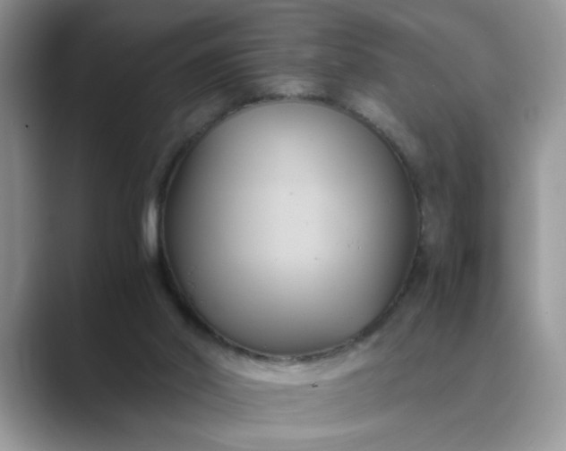 X0000089670014200707051557