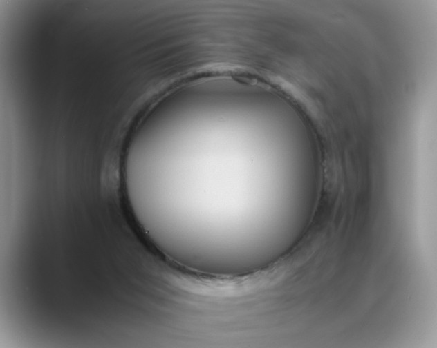X0000089670015200707051556
