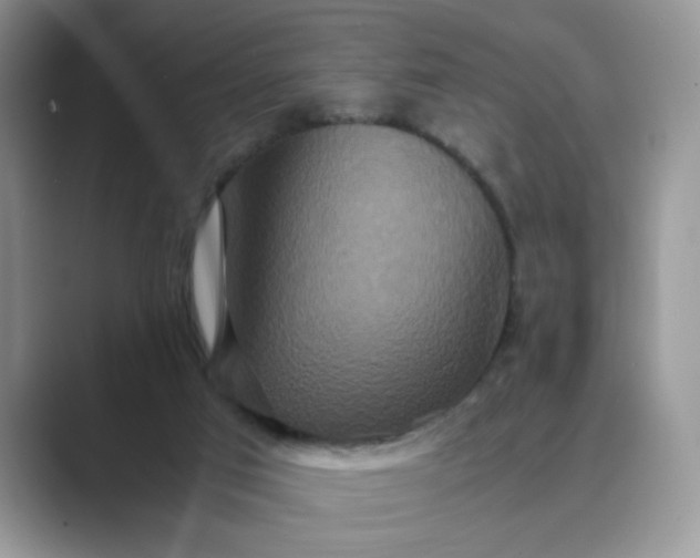 X0000089670017200707051556