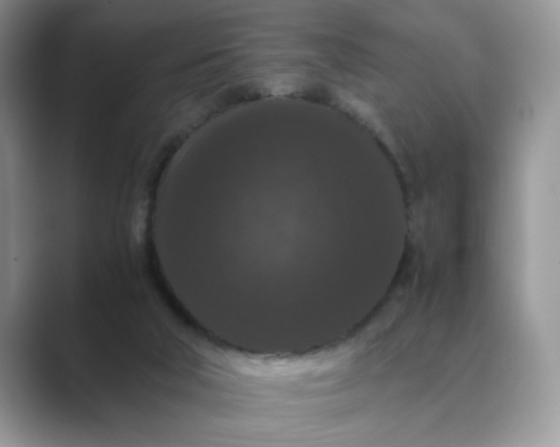 X0000089670018200707051556