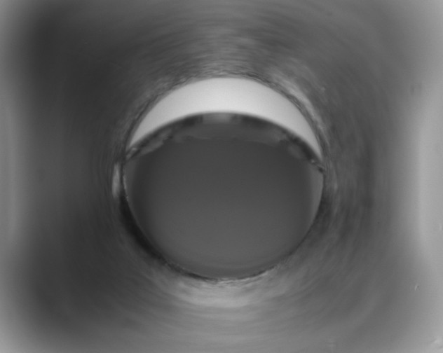 X0000089670019200707051556