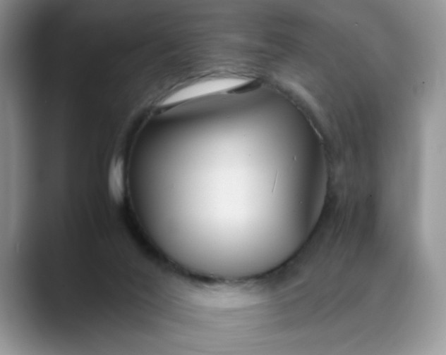X0000089670020200707051556