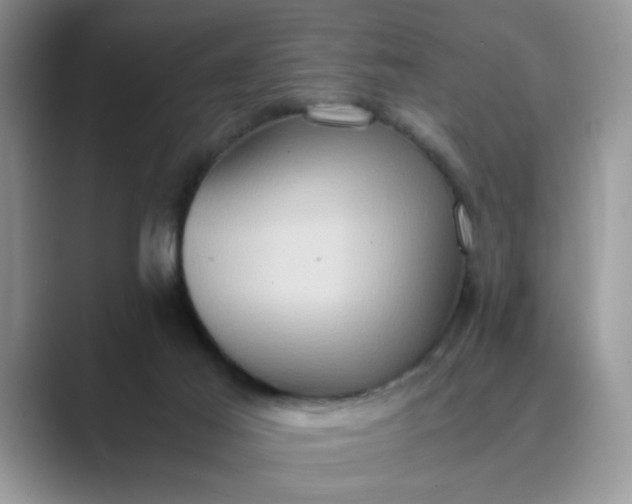 X0000089670021200707051556
