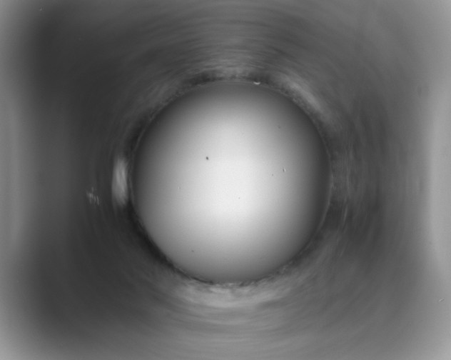 X0000089670022200707051556