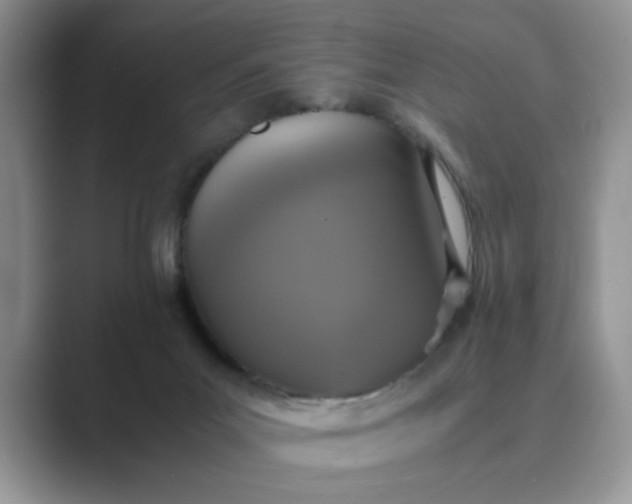X0000089670023200707051556