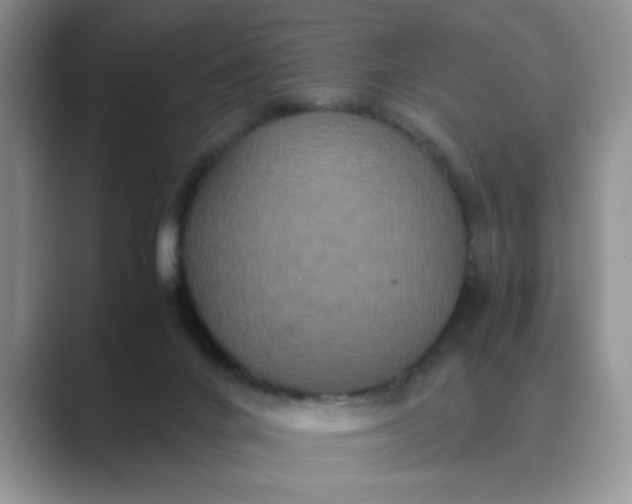 X0000089670024200707051556